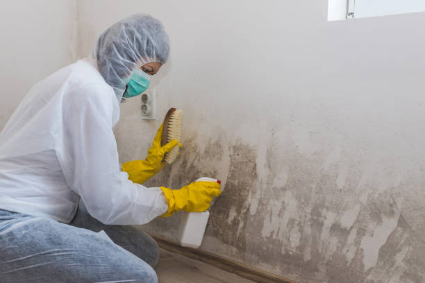 Best Mold Cleaning Services  in Jones, OK