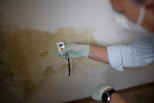 Best Residential Mold Removal  in Jones, OK