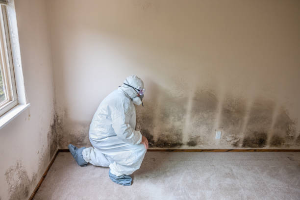  Jones, OK Mold Removal Pros