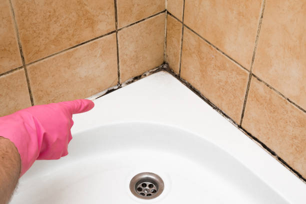 Best Home Mold Removal  in Jones, OK